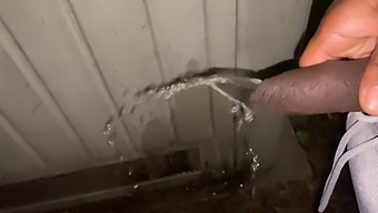 Pissing And Flashing In Public: A Woman'S Adventure