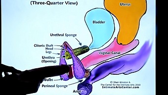 Second Lesson On Female Ejaculation: How To Teach A Girl To Squirt